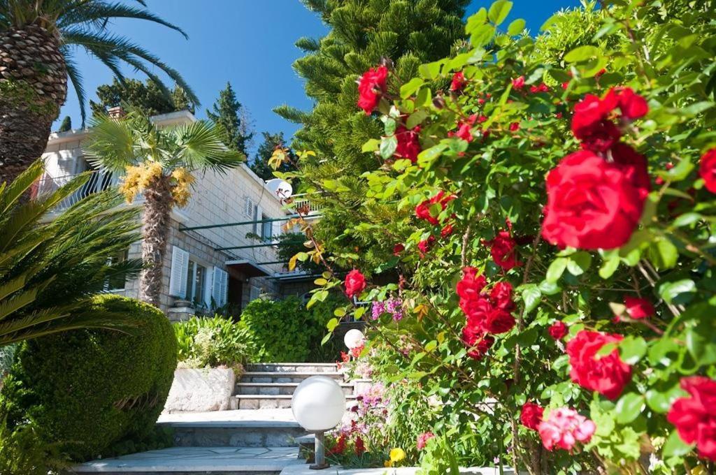 Guest House Villa Nina Mlini Exterior photo